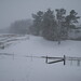Beverly Blount Photo 17