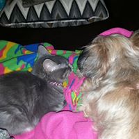 Donna Nelson Photo 29