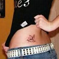 Taylor Meeks Photo 4