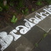 Nancy Nall Photo 10