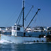 Deborah Fish Photo 17