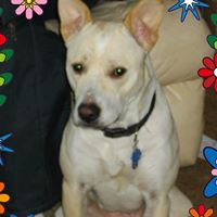 Connie Byers Photo 19