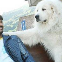 Anjali Rishi Photo 8