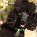 Addie Minor Photo 6