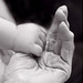 Jack Hand Photo 11