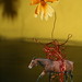 Antoinette Watkins Photo 24