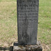 James Davies Photo 16