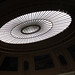 Daniel Hoppe Photo 26