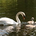 Stephen Swan Photo 37