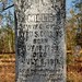 Millie Wilkinson Photo 10