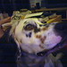 Jodie Hunt Photo 14