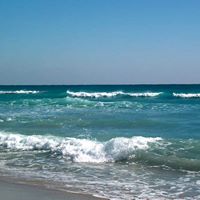 Anne Tuttle Photo 22