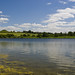 Geoffrey Lowe Photo 20