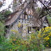 Edwin Boller Photo 6