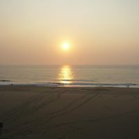 Ann Pedersen Photo 16