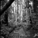 Garrett Cox Photo 15