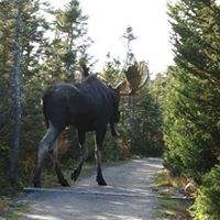 Richard Pilon Photo 14