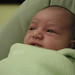 Jillian Green Photo 11