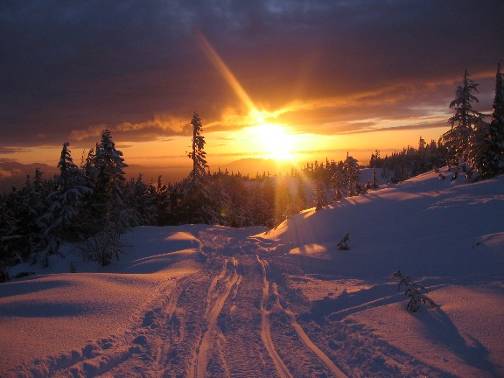Michael Boese Photo 17