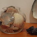 Christine Shell Photo 13