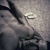 Jay Adams Photo 16