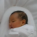 Elizabeth Yee Photo 27