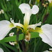 Carol Moyer Photo 22