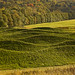 Darrel Morrison Photo 14