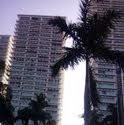 M Rodriguez Photo 46