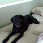 Holly Andrade Photo 17