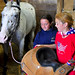Allison Schmidt Photo 15