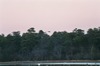 Joseph May Photo 44
