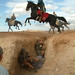 Alexander Crews Photo 8