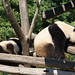 Fu Yang Photo 6