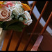 Jane Berger Photo 24