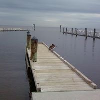 Jacob Novak Photo 14
