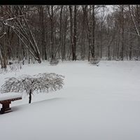 Keith Conklin Photo 34