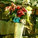 Maria White Photo 16