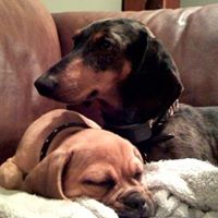 Jill Harter Photo 9