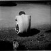 Robin Whitaker Photo 19