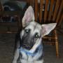 Marc Rodgers Photo 9