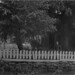 Mary Mcphail Photo 20