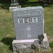 David Gove Photo 31