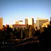 Steven Paulsen Photo 26
