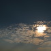 Ann Platt Photo 16