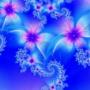 Dianne Faulkner Photo 22