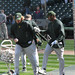 Travis Stewart Photo 12