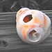 Rosemarie Shell Photo 3