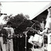 Patricia Lindsey Photo 16