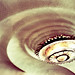 Debra Zeller Photo 18
